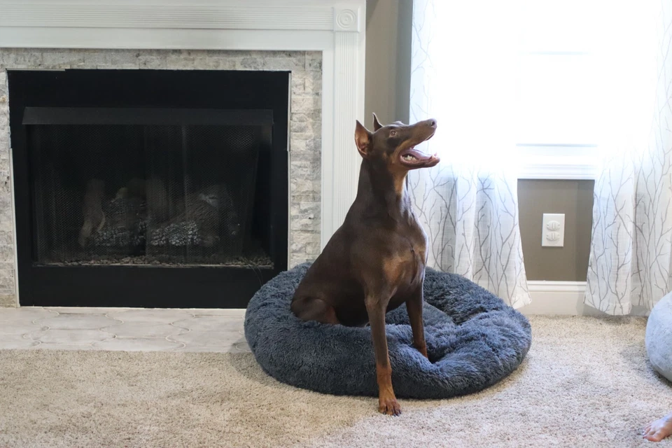 Cama calmante para perros PuppyzZz, suave, cómoda y para aliviar el estrés, el mejor sueño de todos los tiempos Foto 4 de 4