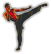 Karate Fighter Car Bumper Sticker Decal - ''SIZES"