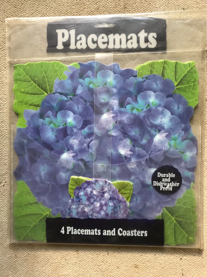 4 Kunststoff-Tischsets und Glasuntersetzer, 31x31 cm / 11x11 , spülmaschinenfest