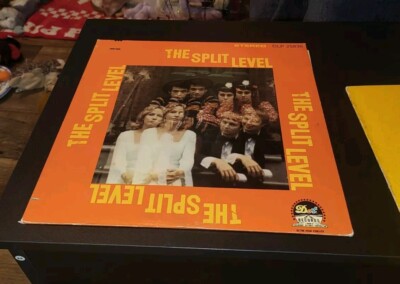 THE SPLIT LEVEL Divided We Stand LP 1968 Dot ORIG US PRESS pop psych ...