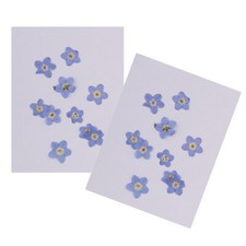 20 Stck. Nat&uuml;rliche Trockenblumen Vergissmeinnicht zum Selbermachen Handyh&uuml;lle Harz Ornament