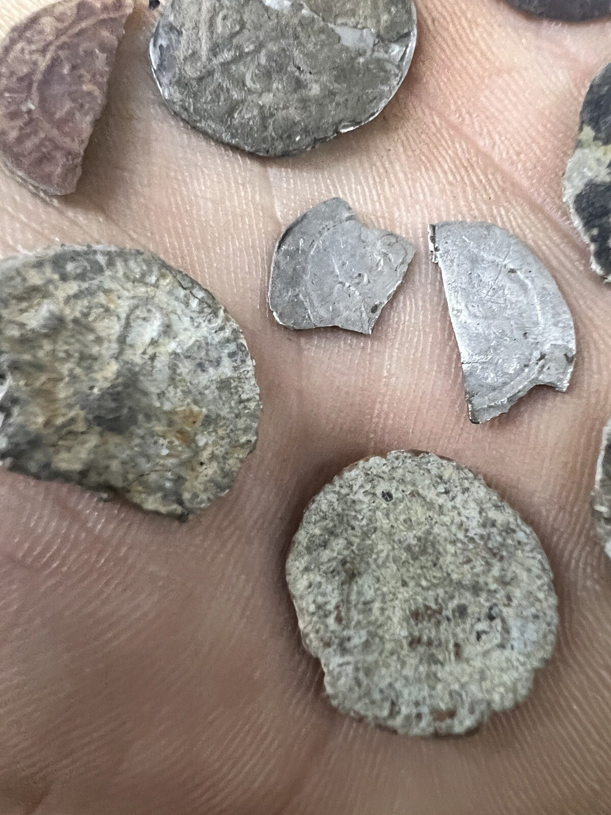 Metal Detecting Finds Coins eBay