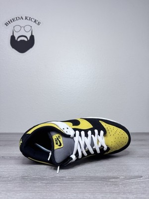 Size 11.5 - Nike Dunk Pro SB Low Bic for sale online | eBay