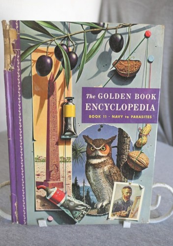 1959 Das goldene Buch Enzyklopädie Hardcover-Bücher Band 1-15 Erdferkel - Vulkane - Bild 23 von 27