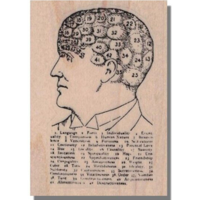 Rubber Stamp, NUMBERED HEAD, Brain, Map, Skull,Face, Media, Dictionary, Science