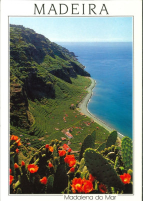 Portugal - Madeira - Ponta do Sol - Madalena do Mar - 2001
