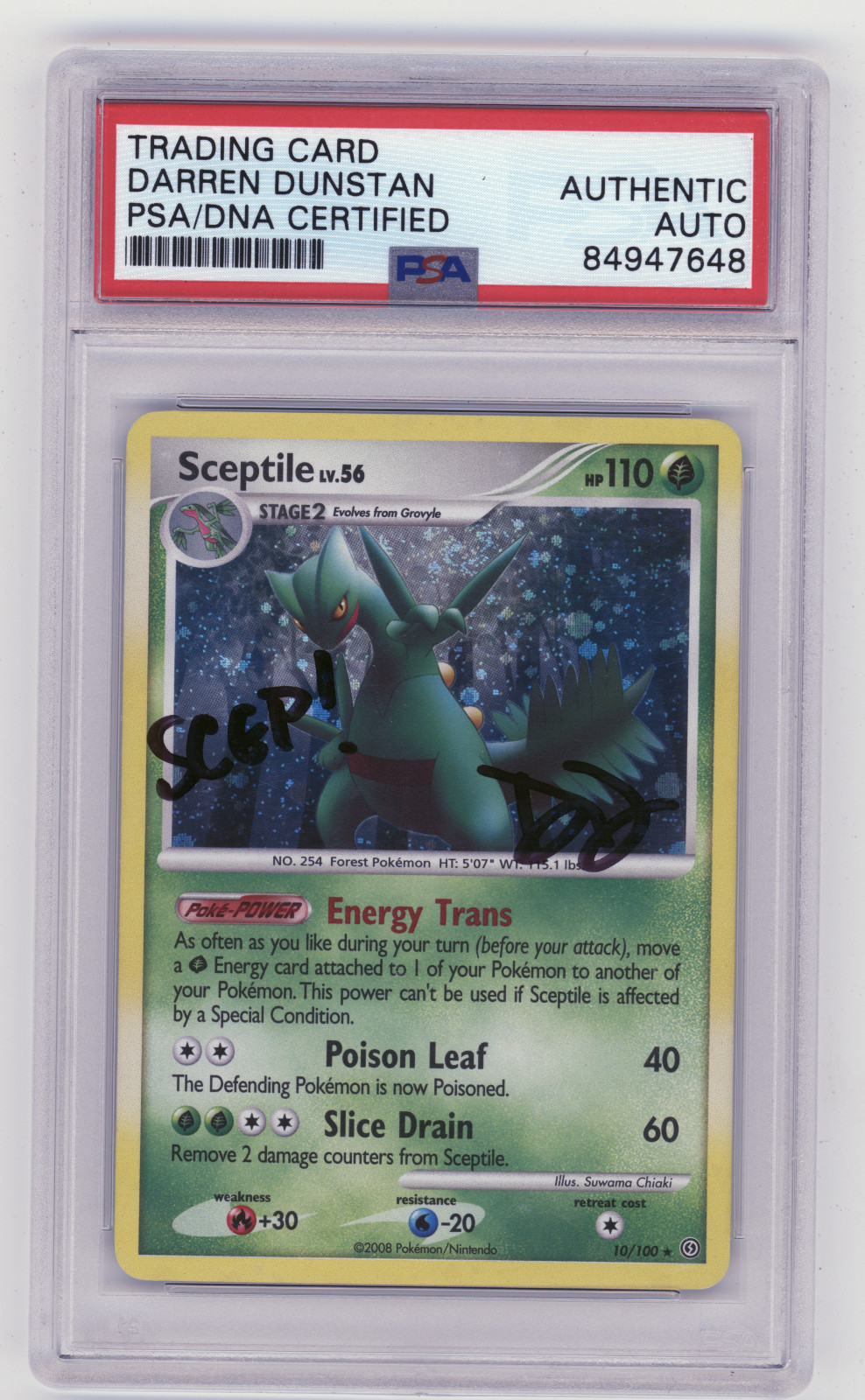 PSA Signed Darren Dunstan Sceptile 10/100 Stormfront Holo Rare Pokemon Card