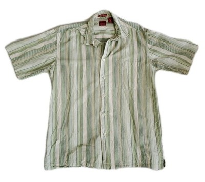 Arrow Button Shirt Men M Medium Short Sleeve Green Striped 100% Cotton 