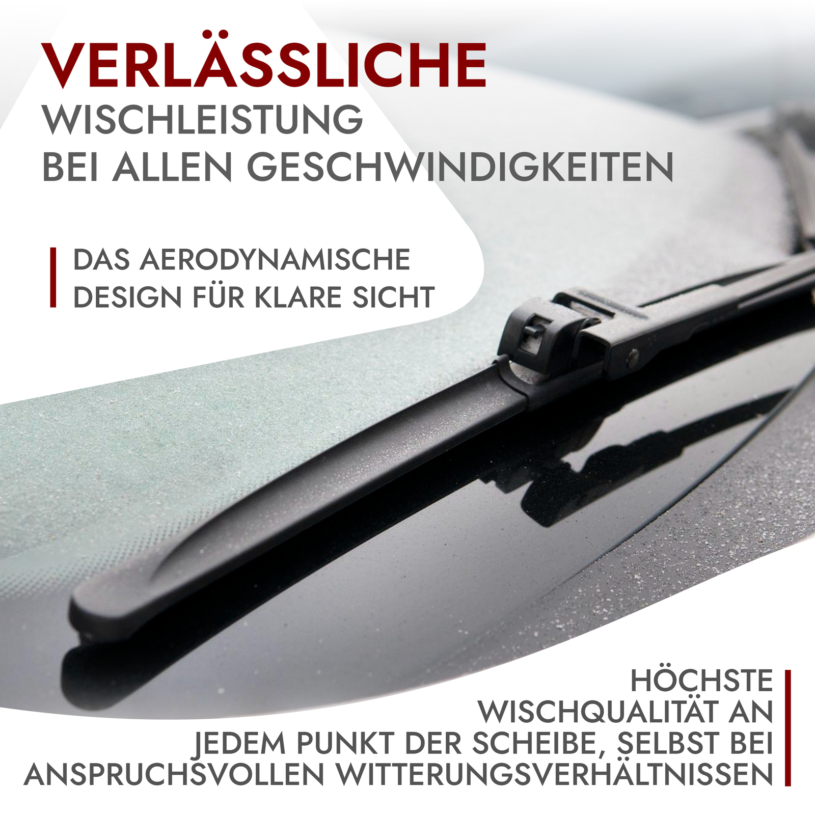 Bild 8 von 8
