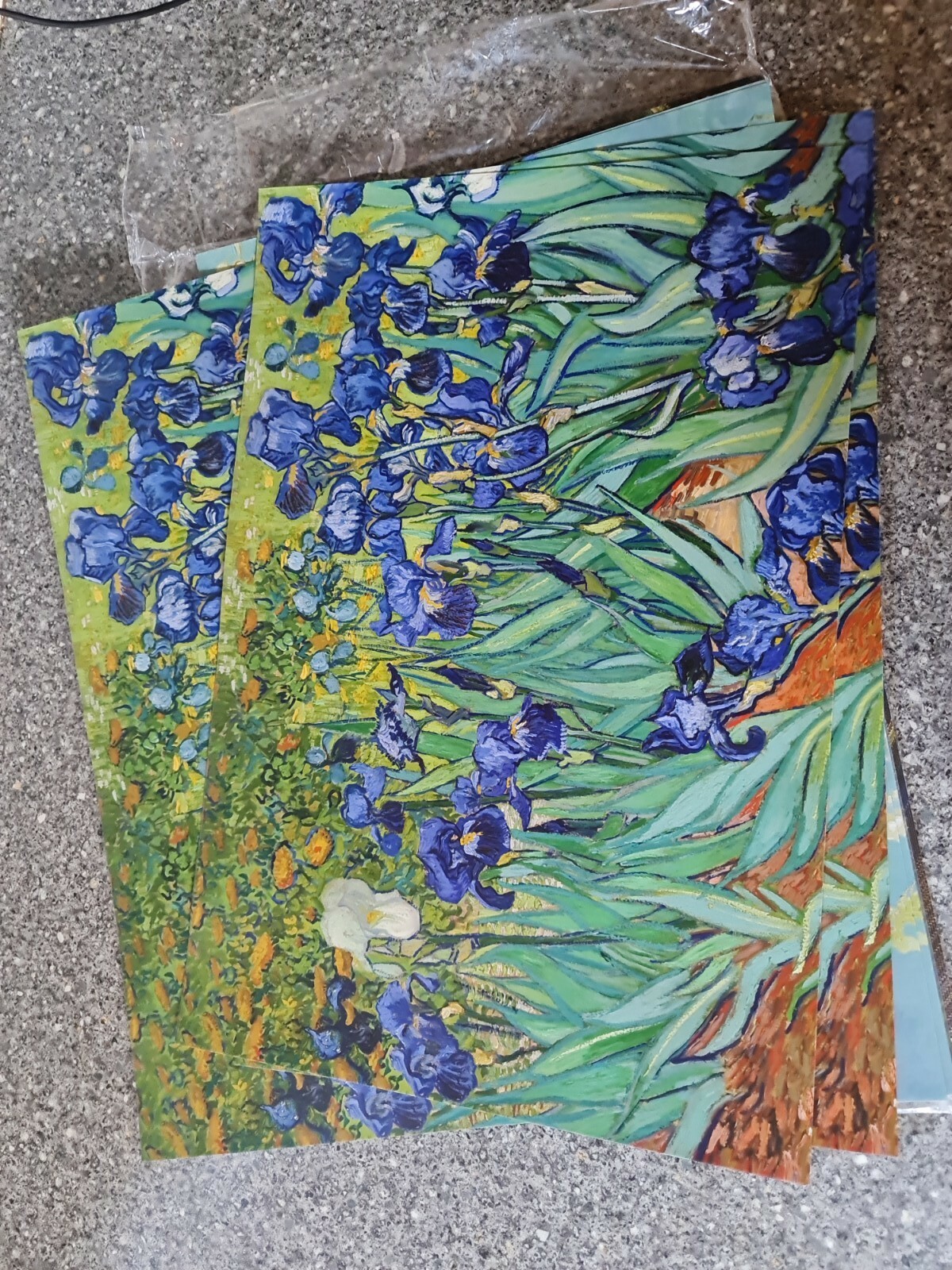 Creanoso Vincent Van Gogh Famous Paintings Poster 24 Pack A3 Size Art