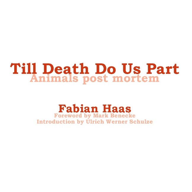 Thumbnail - Mark Benecke; Ulrich Werner Schulze; Fabian Haas / Till Death Do Us