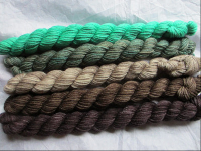 5 Madelinetosh Tiny Twists DK Rousseaus Jungle Minis Wolle Merinowolle