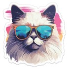 Cool Birman Cat Vinyl Decal Car Bumper Sticker