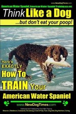American Water Spaniel, American Water Spanie...