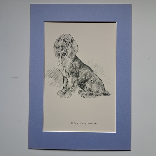 Cocker Spaniel Puppy - K F Barker, Artist  - Print 1937