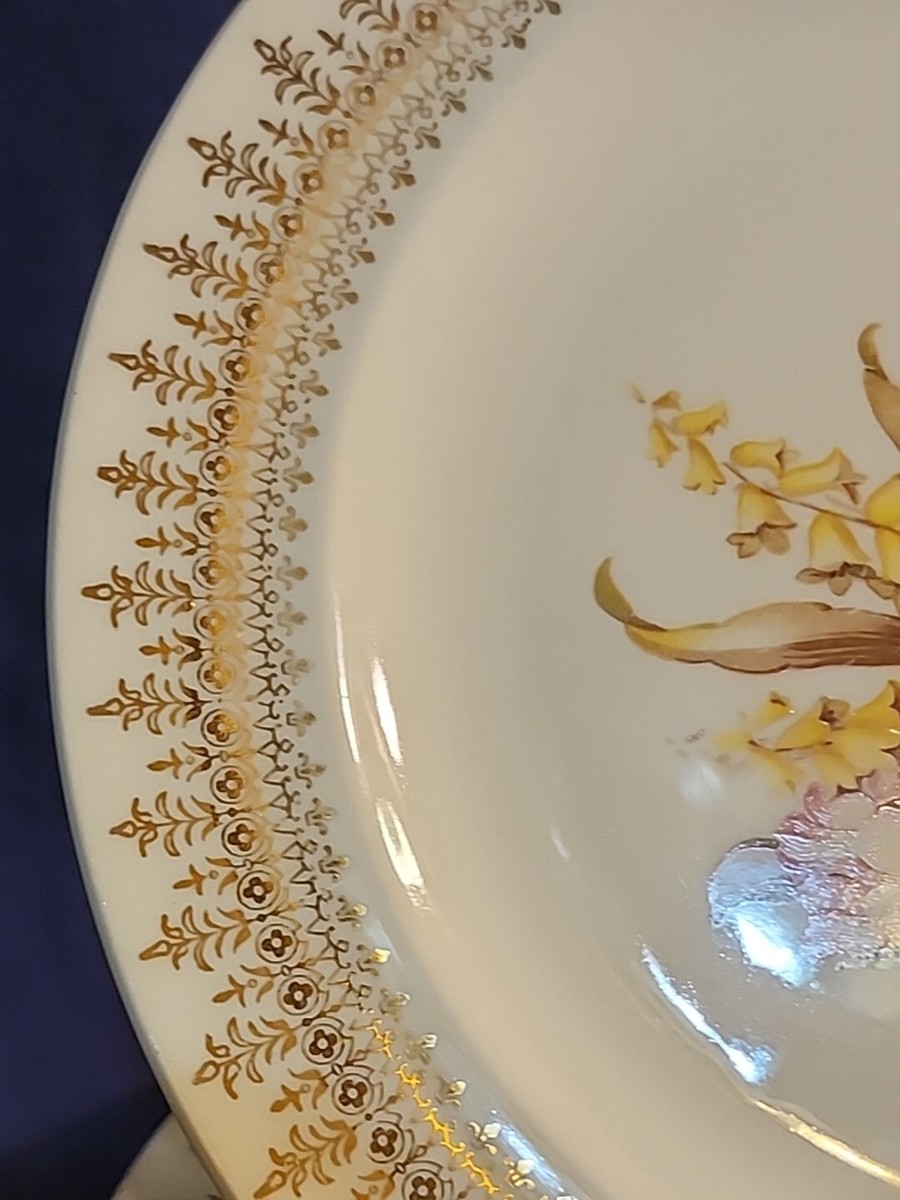 National Brotherhood of Operative Potters The French Saxon China