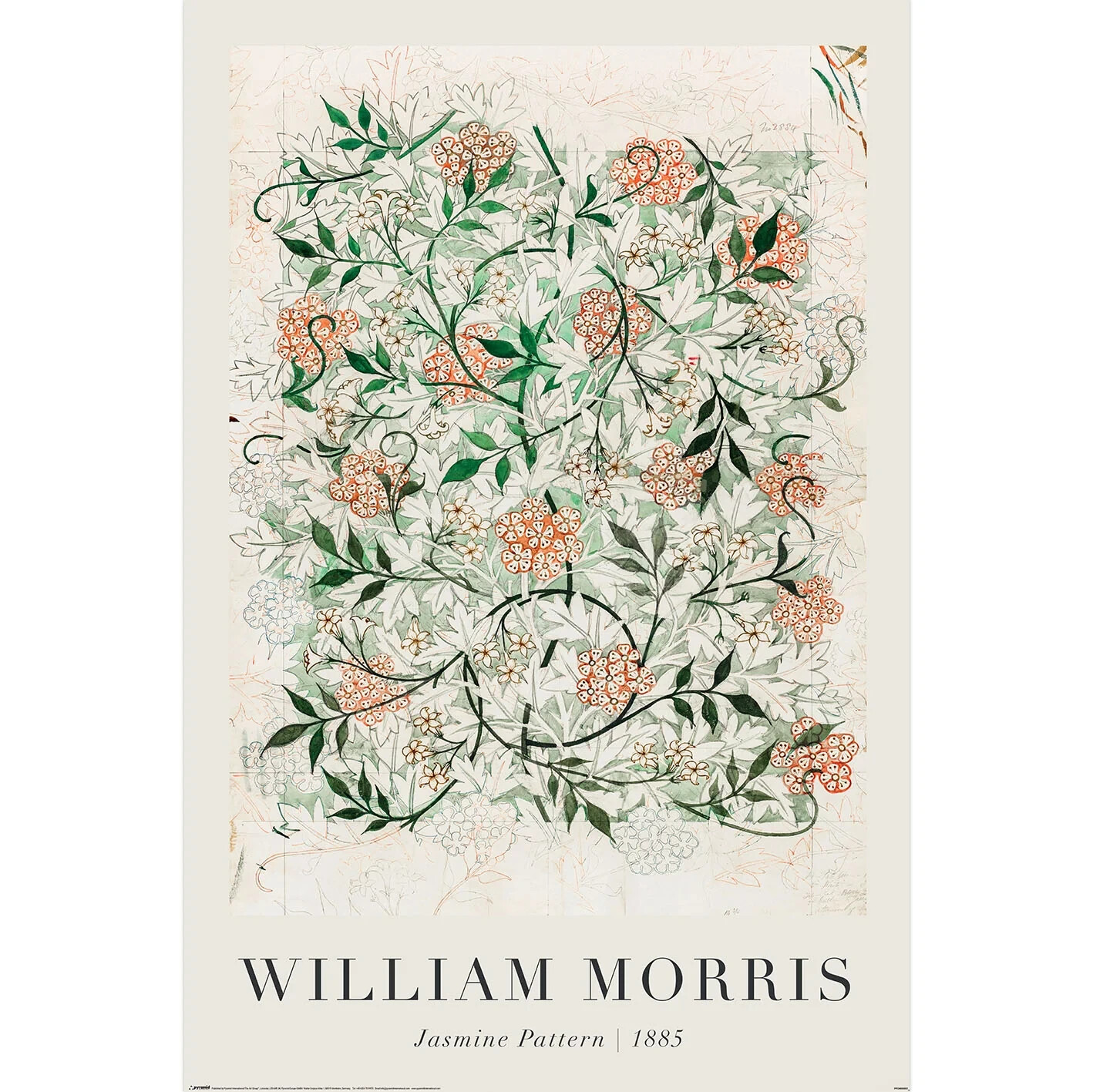 William Morris Poster - Jasmine Pattern 1885 - Brand New 61 x 91.5cm Art Poster