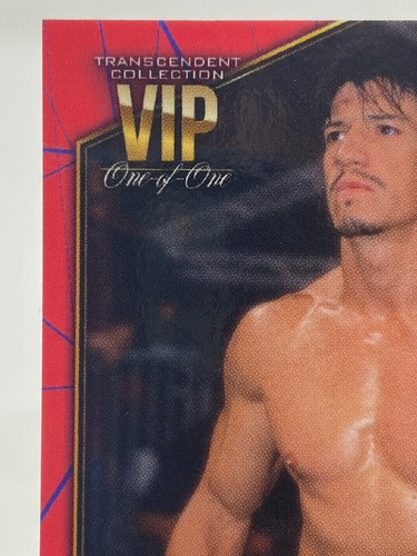 2021 TOPPS TRANSCENDENT WWE VIP PARTY EDDIE GUERRERO RED & BLUE ONE OF ONE - Picture 4 of 5