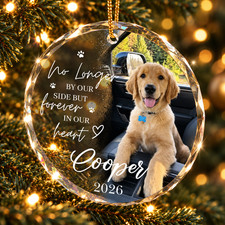 Personalized Pet Memorial Ornament Custom Dog Loss Remembrance Christmas Keepsak