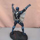 Picture 5 of 13