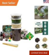 Complete Terrarium Kit with Plant Food  Mini Dinosaurs - Unique Gift Idea