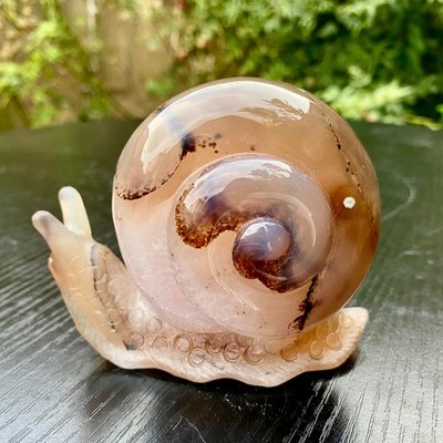 350G  Natural Agate Hand Carved Snail Crystal Healing Stone Decor With Stand
