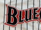 Lakewood Blue Claws 20th Season 2001-2020 SGA Adult L Jersey Rare Success NWOT — photo 2