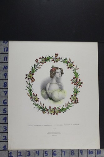 1832 FRENCH LITHO HORTICULTURE GARDEN FLOWER BOTANY SCIENCE FASHION PRINT RC010