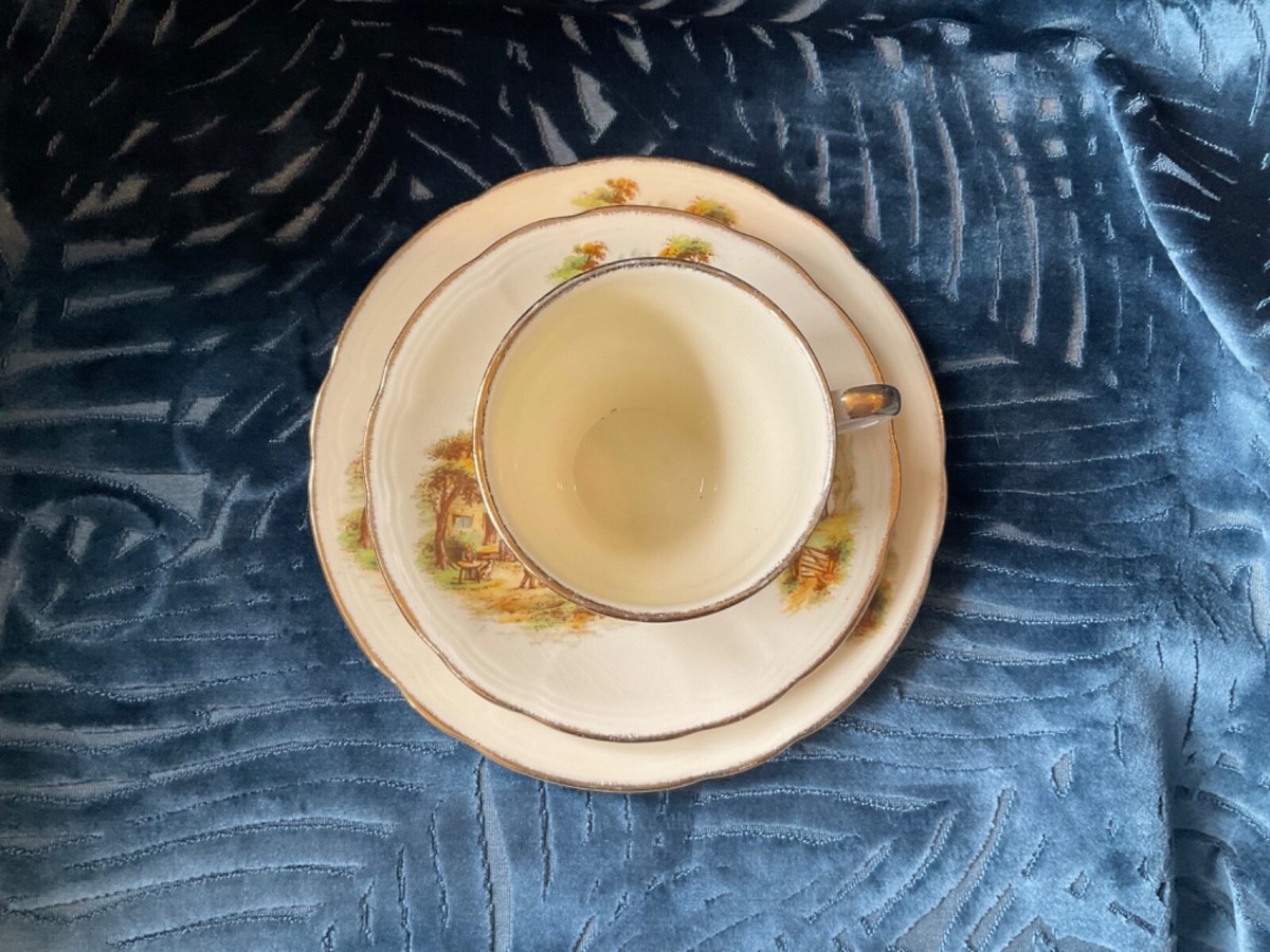 イギリス　ヴィンテージ　「Alfred Meakin」C&Sトリオ　２セット Vintage Alfred Meakin trio, cup,saucer & plate, rustic
