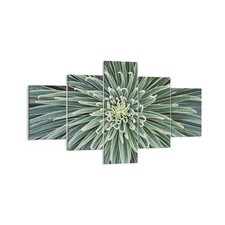 Quadro su Tela 125x70cm Agave verde pianta Stampe Immagini Quadri Moderni Murale