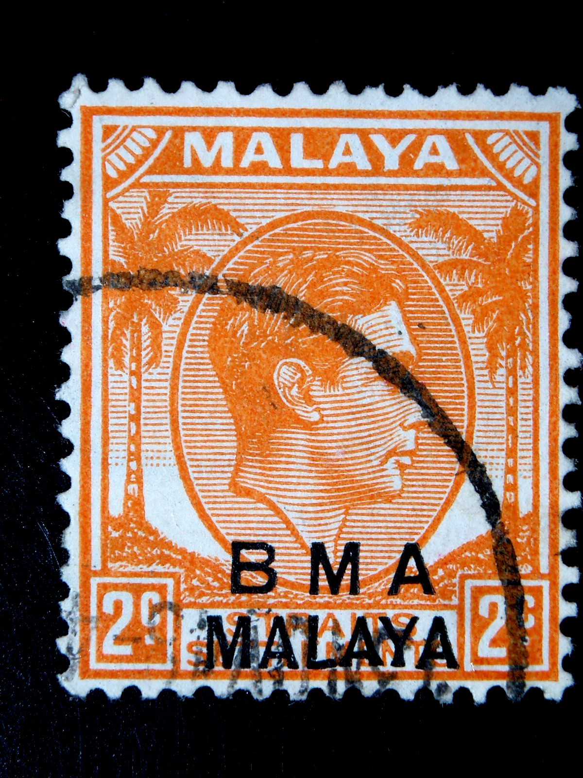 Foto 1 di 2