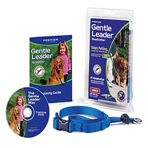 Premier 可调节狗项圈