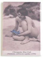 Sexy Woman with Blue Crab FRIDGE MAGNET Chesapeake Bay