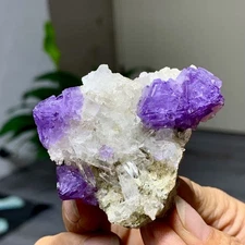 54G Natural purple cubic fluorite white crystal clusters paragenesis/China
