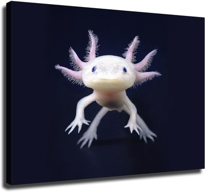 Axolotl Reptiles Benthos Canvas Wall Decor Art Painting Prints on Modern Posters