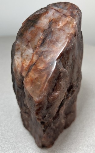 Arizona Rainbow Petrified Wood Branch Limb Cast Specimen Polished Quartz Mineral - Picture 3 of 12