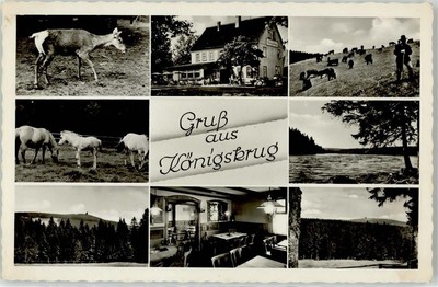52254622 - 3389 Braunlage Gasthaus Koenigskrug Inhaber Ellise Knoth