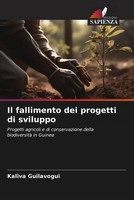 Kaliva Guilavogui | Il Fallimento Dei Progetti Di Sviluppo | Taschenbuch (2023)