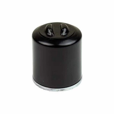 Ölfilter ATHENA avvitabile 52,50x67 für MALAGUTI 250 Madison RS 2004-2005