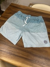 Chubbies 7 The Whale Sharks Swim Trunks Mens Large Blue Lined Shorts Beach