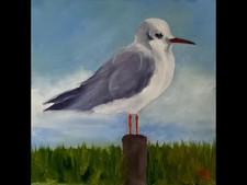 Original Oil Painting Seagull 8 x 8 Ins Dorset Artist CHRISTINE INGRAM
