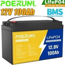 12V 100Ah LiFePO4 Lithium Battery Rechargeable Built-in BMS 8000+ Deep Cycles