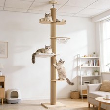 New Road Cat Tree for Indoor Cat with Scratching Post Toy 104"