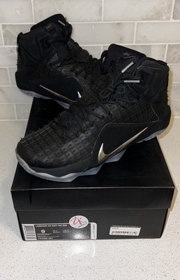 lebron rubber city 12