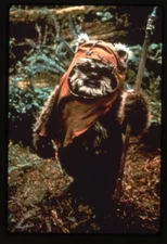 Star Wars Return of the Jedi Ewok Wicket W. Warrick Original 35mm Transparency