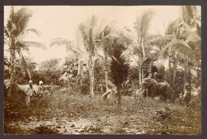 rencontrer indochine