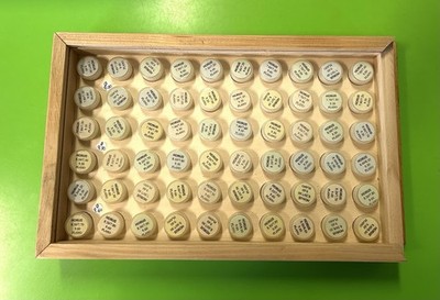 60er HORUS Torische Starre Kontaktlinsen Testset