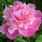 Bild 11 von 15