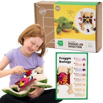 Dissection Plush Toy Froggie Lab 5 Piece Organ Anatomy STEM KiwiCo Green