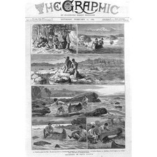 CANADA Canoa in Nuova Scozia - Stampa antica 1880
